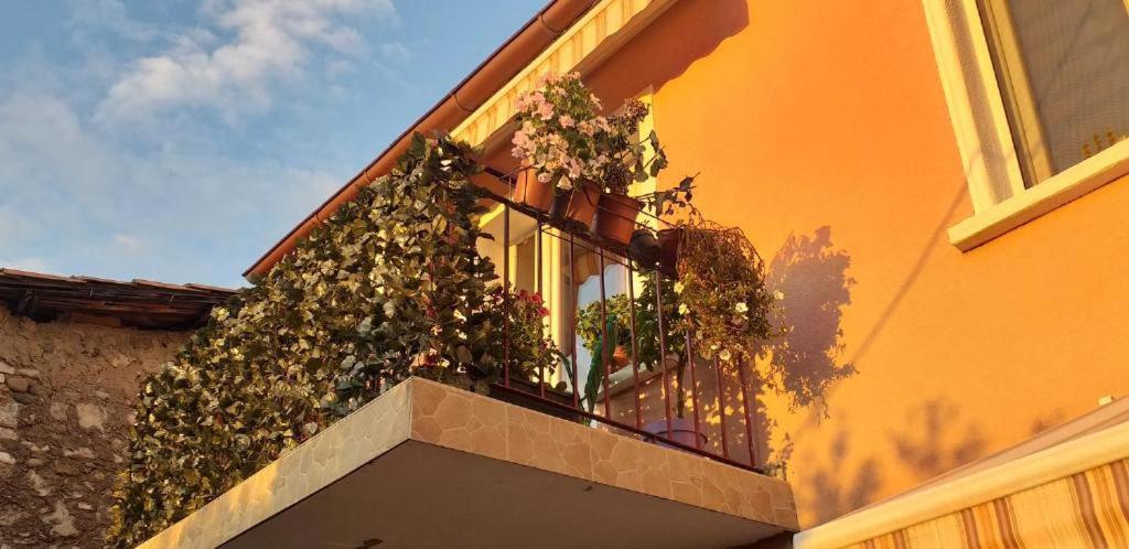 Old Town Rooms Podgorica Exterior photo